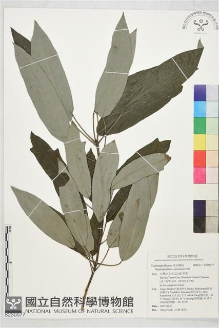 登錄號:S230077藏品圖，第1張
