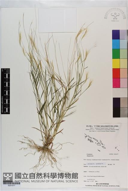 登錄號:S201077藏品圖，第1張