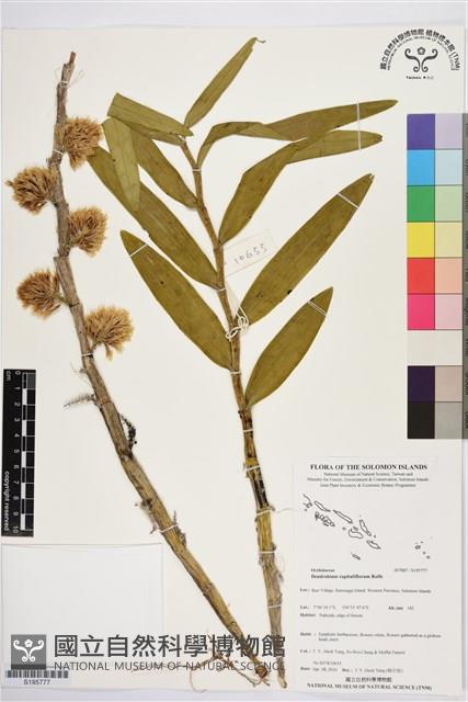 登錄號:S195777藏品圖，第1張