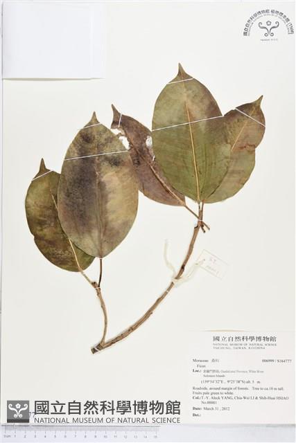 登錄號:S164777藏品圖，第1張