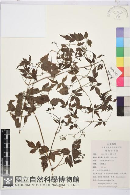 登錄號:S104477藏品圖，第1張