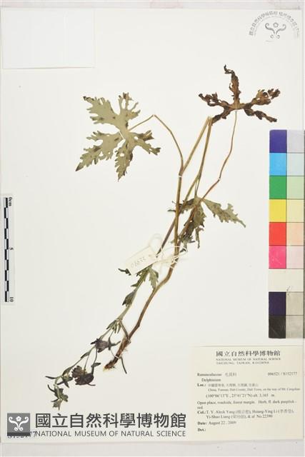 登錄號:S152177藏品圖，第1張