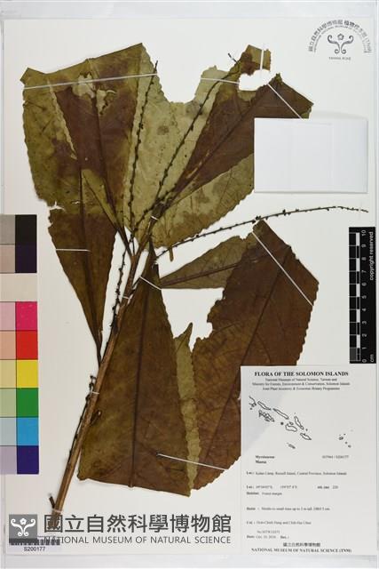 登錄號:S200177藏品圖，第1張