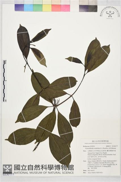 登錄號:S230177藏品圖，第1張