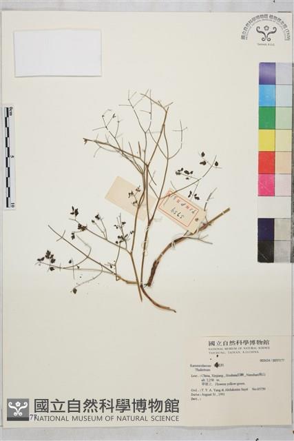 登錄號:S037177藏品圖，第1張