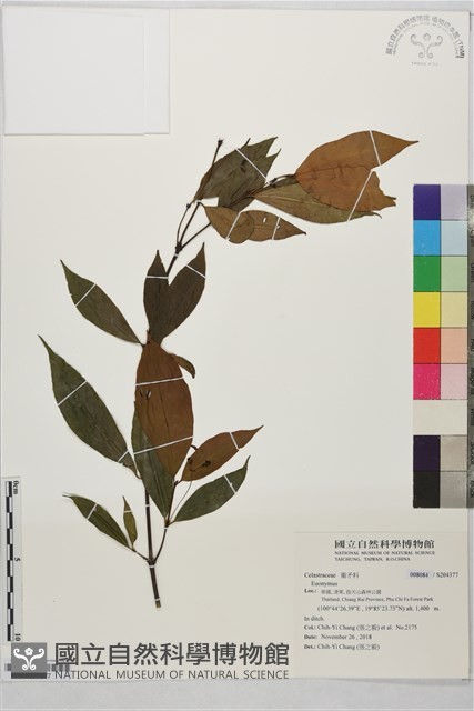 登錄號:S204377藏品圖，第1張