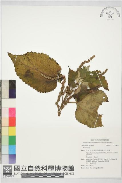 登錄號:S232877藏品圖，第1張