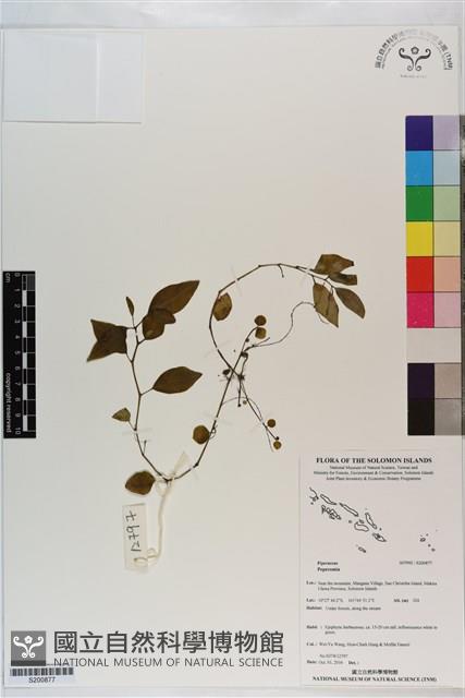 登錄號:S200877藏品圖，第1張