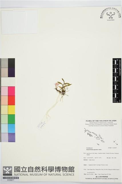 登錄號:S195877藏品圖，第1張