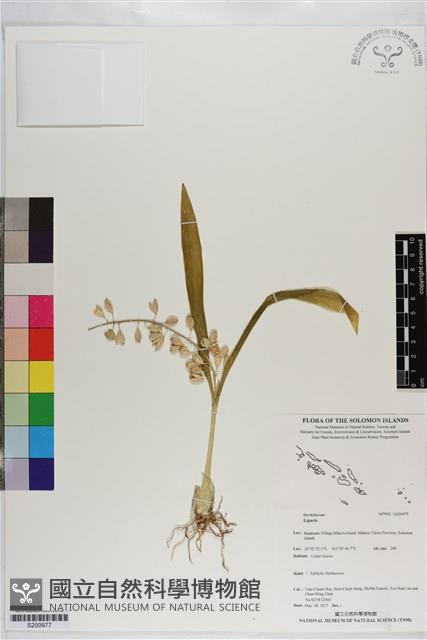 登錄號:S200977藏品圖，第1張