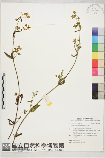 高山當藥藏品圖，第1張
