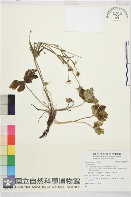 登錄號:S123577藏品圖，第1張