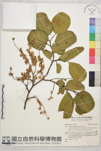 登錄號:S197687藏品圖，第1張