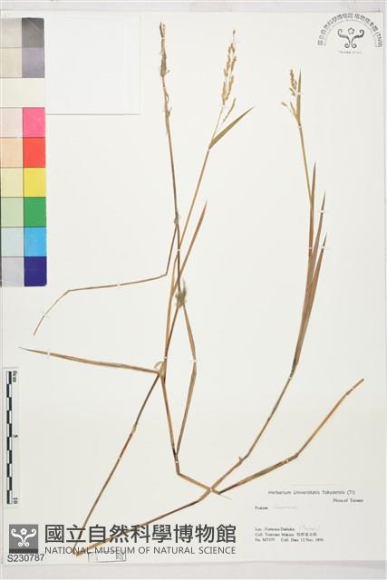 登錄號:S230787藏品圖，第1張