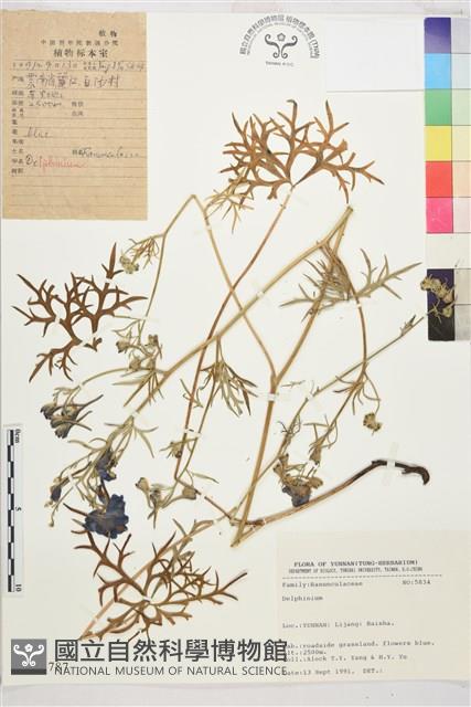 登錄號:S025787藏品圖，第1張