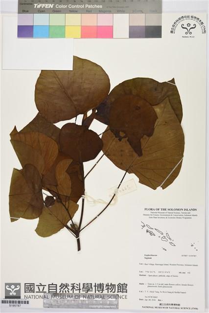 登錄號:S195787藏品圖，第1張