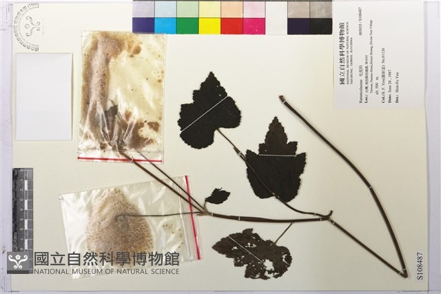 登錄號:S108487藏品圖，第1張