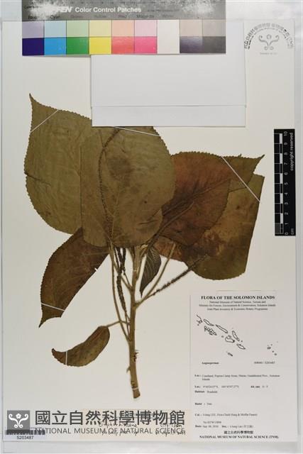 登錄號:S203487藏品圖，第1張