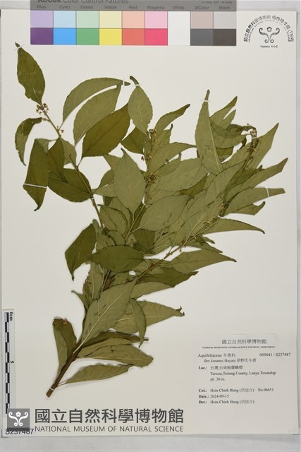 草野氏冬青藏品圖，第1張