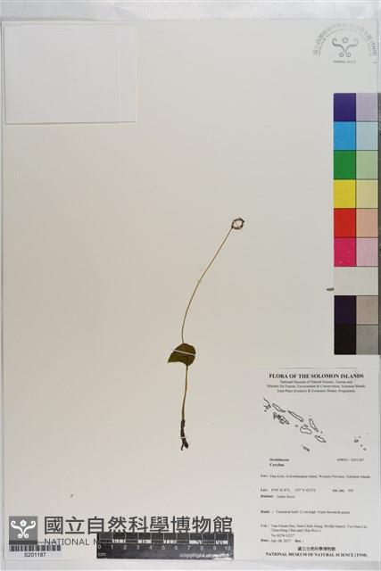 登錄號:S201187藏品圖，第1張