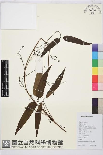 山木通藏品圖，第1張