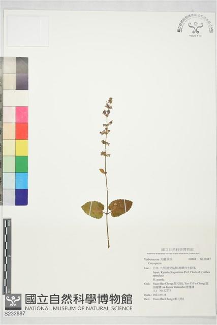 登錄號:S232887藏品圖，第1張