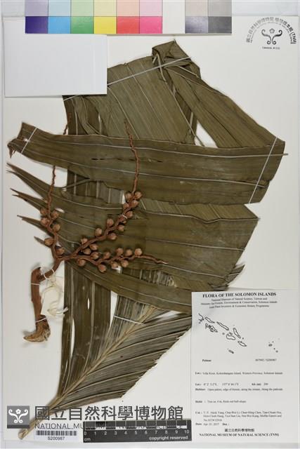 登錄號:S200987藏品圖，第1張