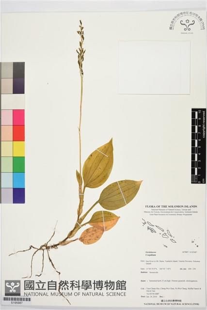 登錄號:S195987藏品圖，第1張