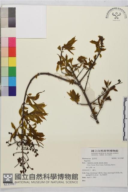 登錄號:S135987藏品圖，第1張