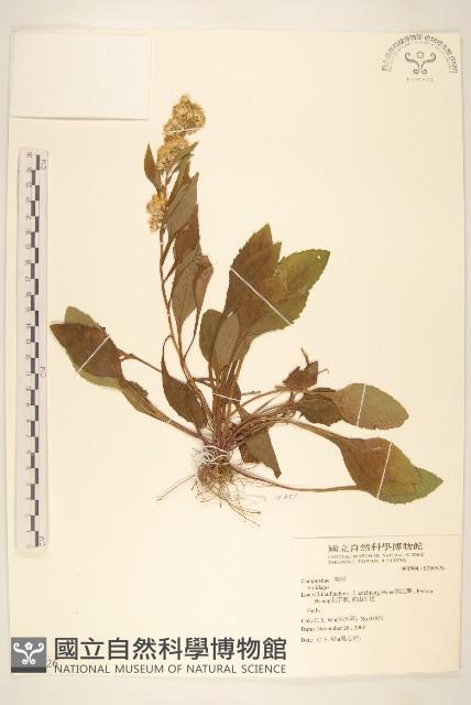 登錄號:S069926藏品圖，第1張