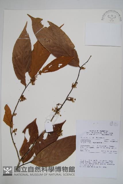 登錄號:S058816藏品圖，第1張