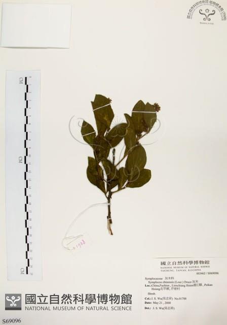 灰木藏品圖，第1張