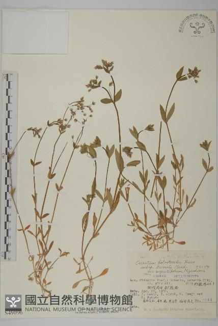 登錄號:S049096藏品圖，第1張