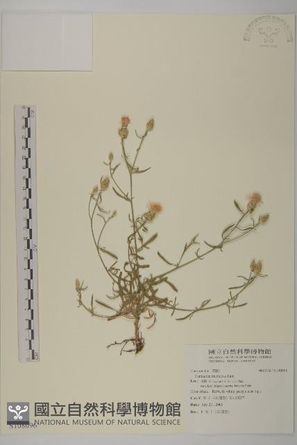 登錄號:S108096藏品圖，第1張