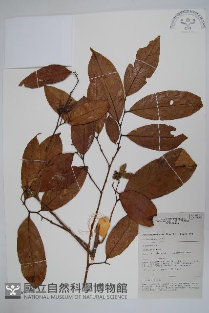 登錄號:S058896藏品圖，第1張