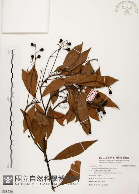 香楠藏品圖，第1張