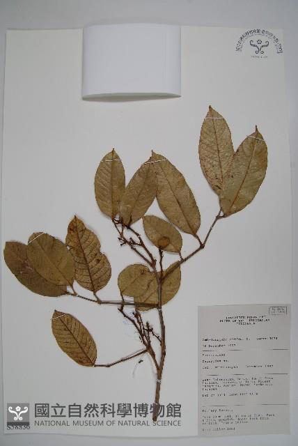 登錄號:S058836藏品圖，第1張