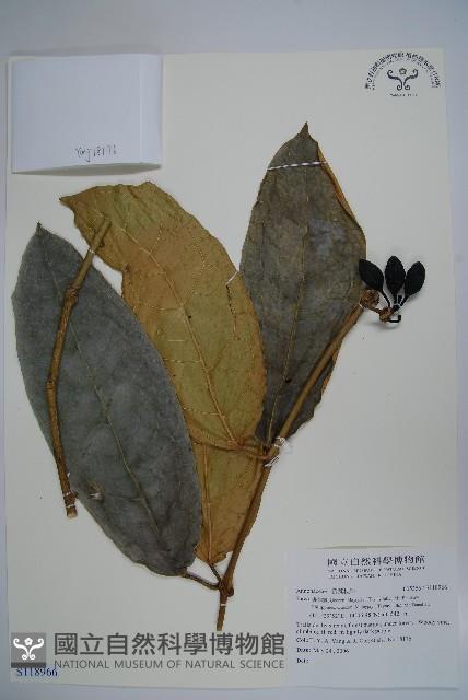 登錄號:S118966藏品圖，第1張