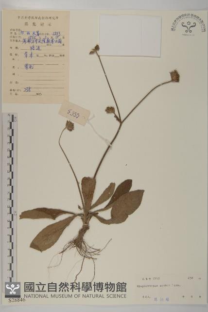 燈豎朽藏品圖，第1張