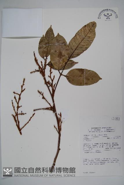 登錄號:S058886藏品圖，第1張