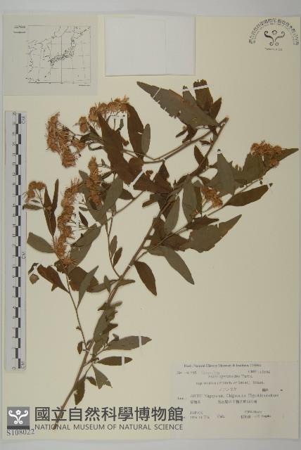 登錄號:S108022藏品圖，第1張