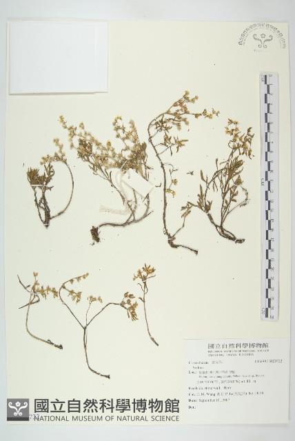 登錄號:S129722藏品圖，第1張