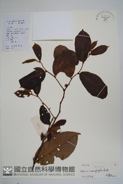 登錄號:S129322藏品圖，第1張