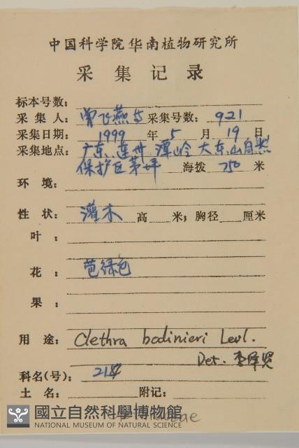 單毛山柳藏品圖，第1張