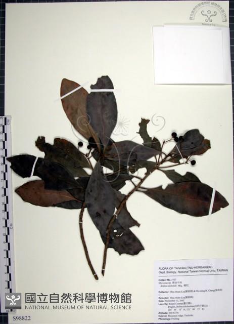 樹杞藏品圖，第1張