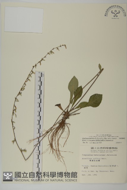 臺灣鬼督郵藏品圖，第1張