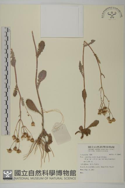 登錄號:S138002藏品圖，第1張