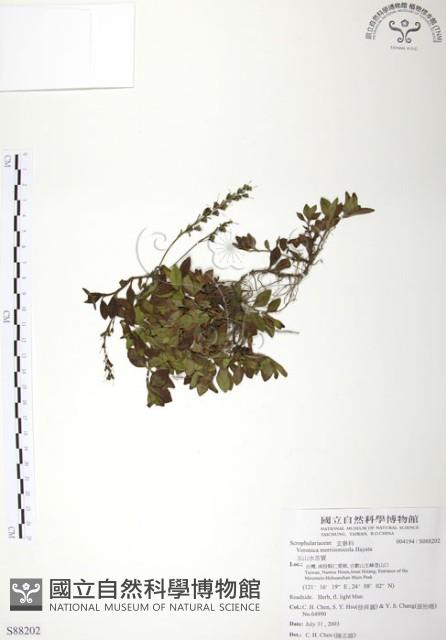 玉山水苦賈藏品圖，第1張