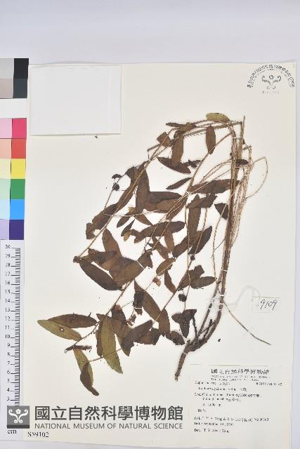 大戟藏品圖，第1張