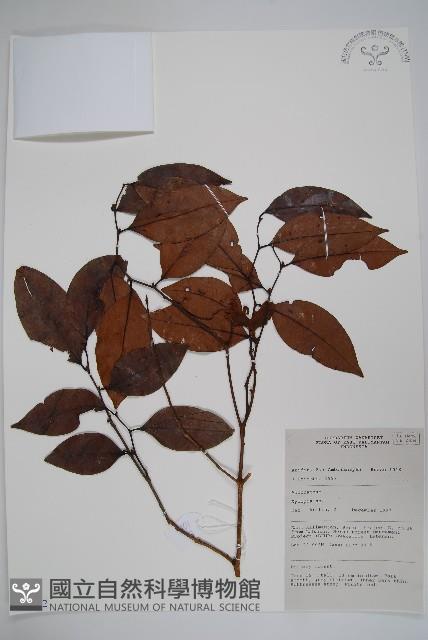 登錄號:S058802藏品圖，第1張